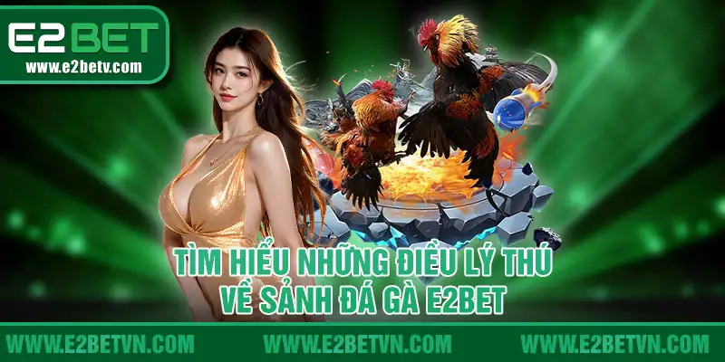 Tìm hiểu những điều lý thú về sảnh đá gà E2BET